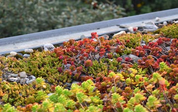 the cost of Lettermorar green roof installation